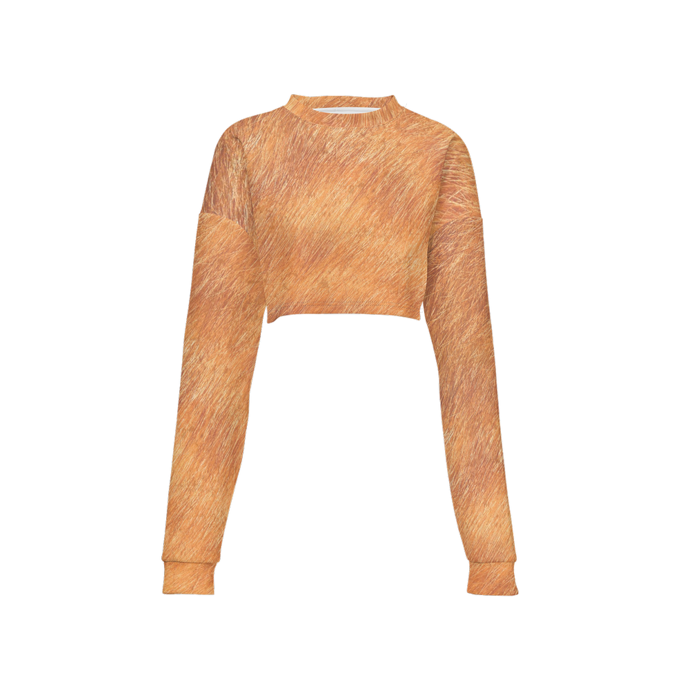 Orange Tabby Cropped Crewneck Sweatshirt