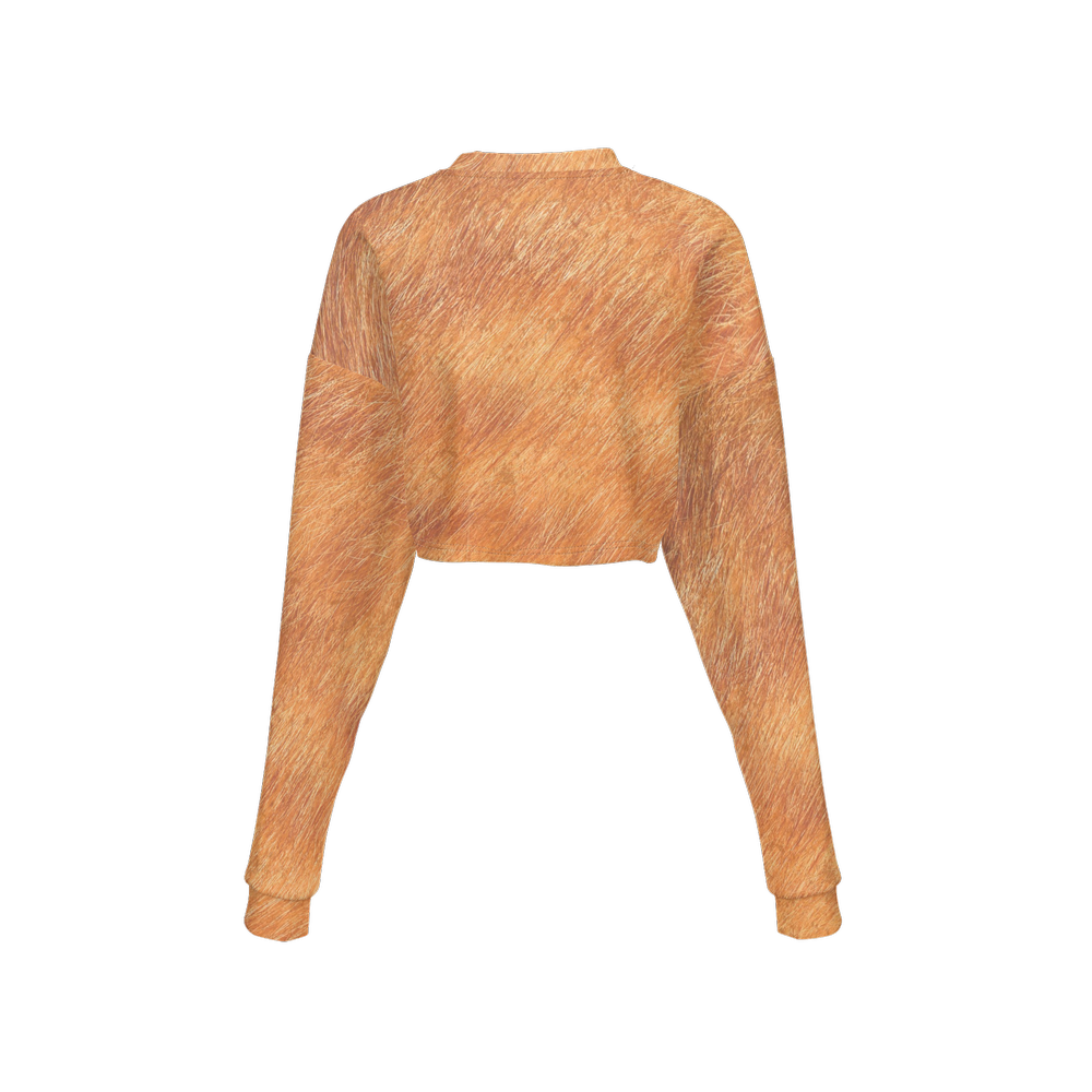 Orange Tabby Cropped Crewneck Sweatshirt